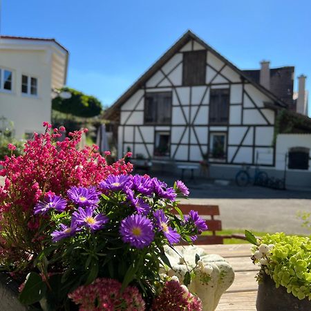 Cafe Canape, Wohlfuehlen Im Schoenen Hof Zwischen Ravensburg & Bodensee Экстерьер фото