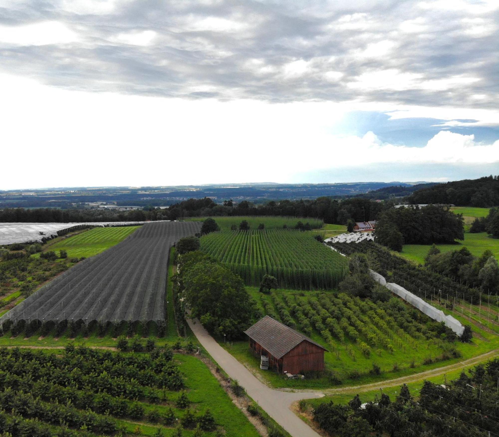 Cafe Canape, Wohlfuehlen Im Schoenen Hof Zwischen Ravensburg & Bodensee Экстерьер фото