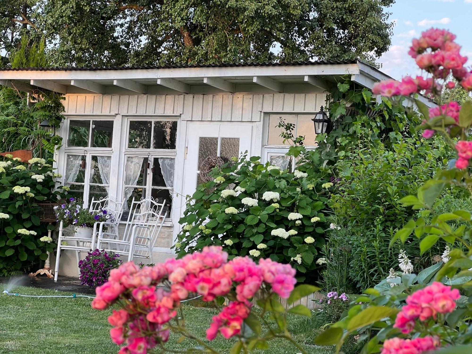 Cafe Canape, Wohlfuehlen Im Schoenen Hof Zwischen Ravensburg & Bodensee Экстерьер фото