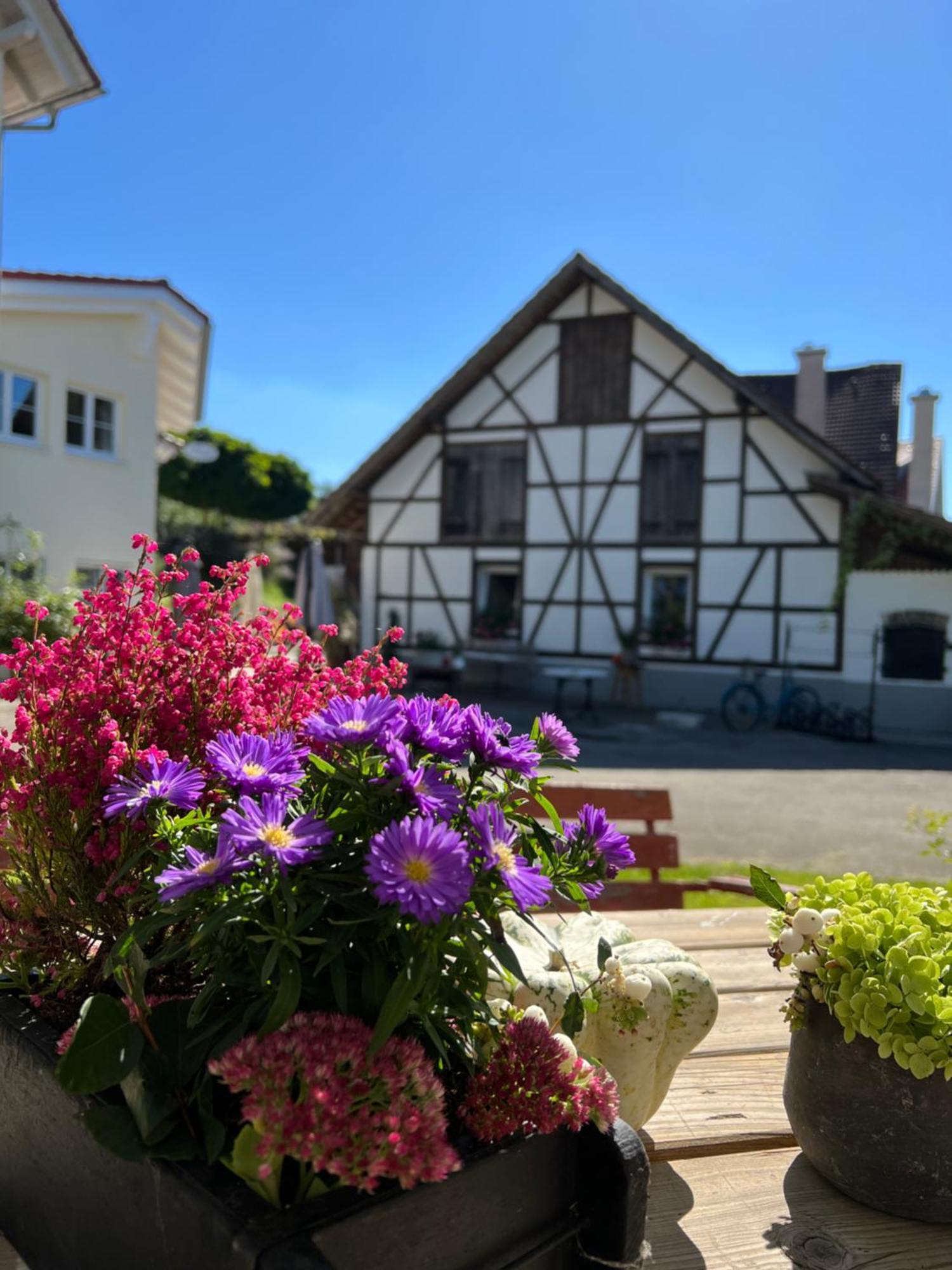Cafe Canape, Wohlfuehlen Im Schoenen Hof Zwischen Ravensburg & Bodensee Экстерьер фото
